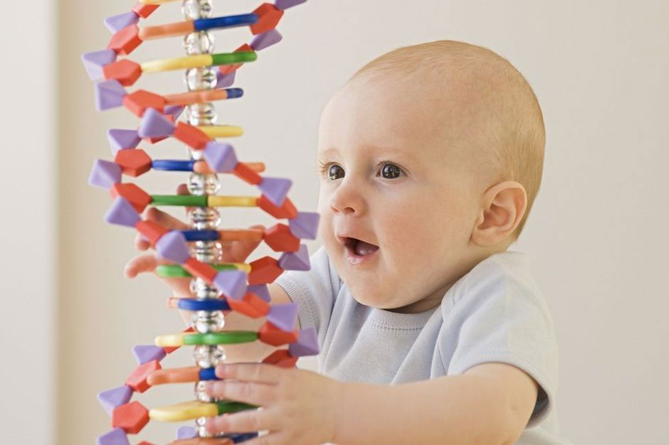 Language Development Gene